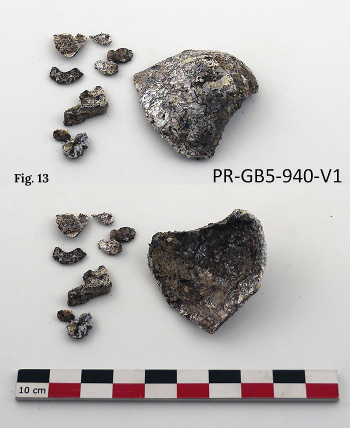Figure 13
