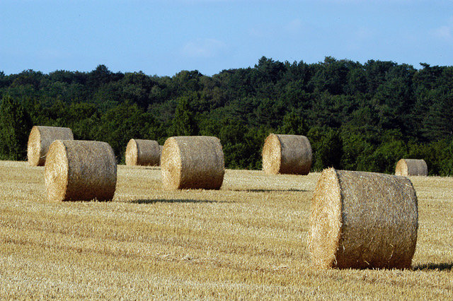 La ferme de Preuilly
